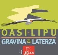 lipu.jpg